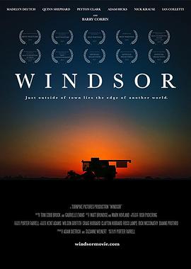 温莎之谜封面图