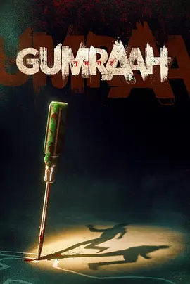 双面线索封面图