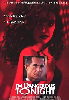 我的危险夜封面图