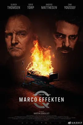 悬案密码5：马可效应封面图