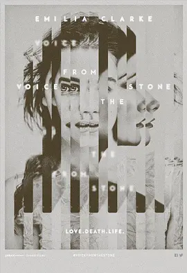 墙里的声音封面图