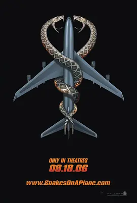 航班蛇患封面图