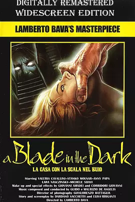 血腥激情夜封面图