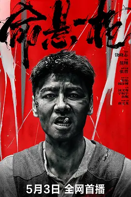 命悬一枪封面图