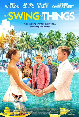 事物的摆动封面图