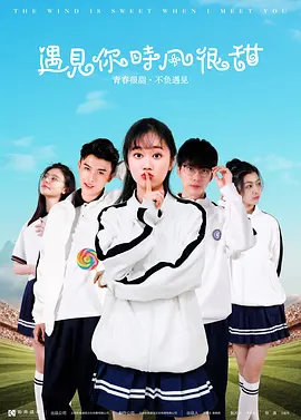 遇见你时风很甜封面图