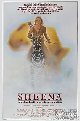 森林女王封面图