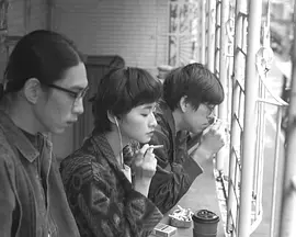 台北焦油封面图