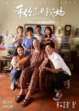 带你去见我妈封面图