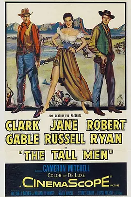 铁汉娇娃封面图