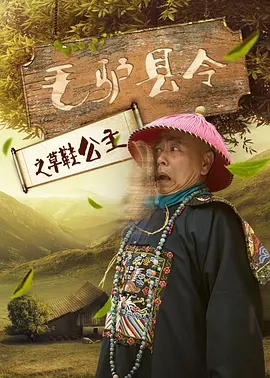 毛驴县令之草鞋公主封面图