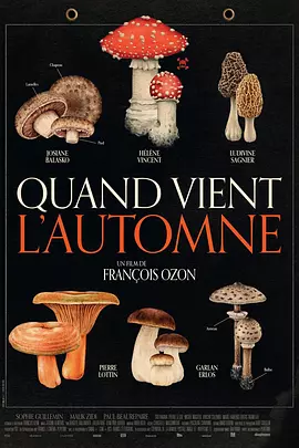 秋日何时来封面图