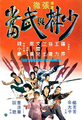 少林与武当封面图