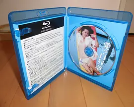 爱的白日梦封面图