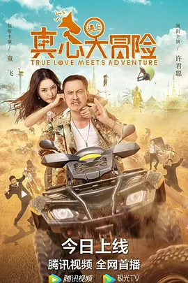 真心遇上大冒险封面图