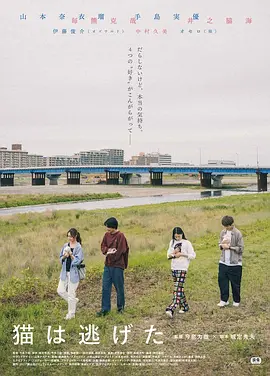 猫猫逃走了封面图