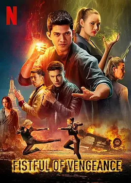 复仇铁拳封面图