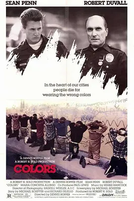 彩色响尾蛇封面图