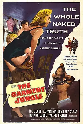 霓裳丛林封面图