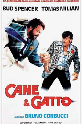 老虎与妙贼封面图