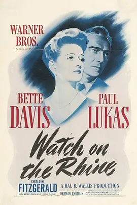 守卫莱茵河封面图