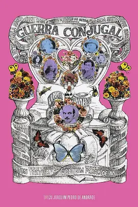 夫妻斗争封面图