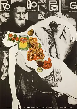 罗戈帕格封面图