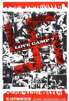 第七爱露营封面图