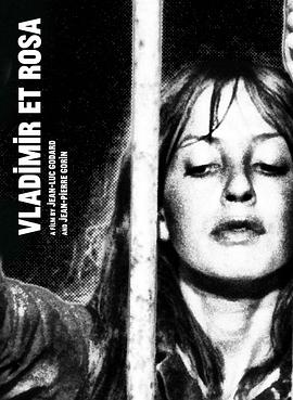 弗拉基米尔和罗莎封面图