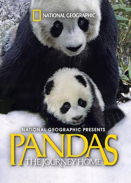 大熊猫封面图