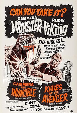 飞刀武士封面图