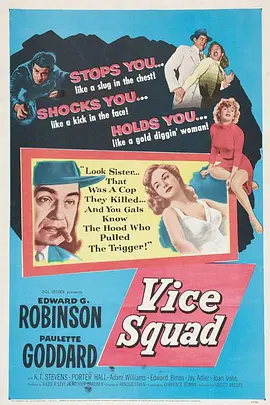 铁血警探封面图