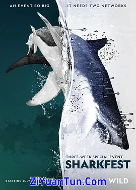 Man vs. Shark封面图