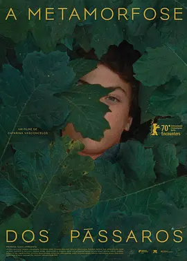 鸟类变形记封面图