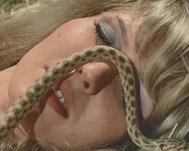 床上女主人封面图