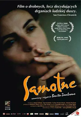 天涯寻梦封面图