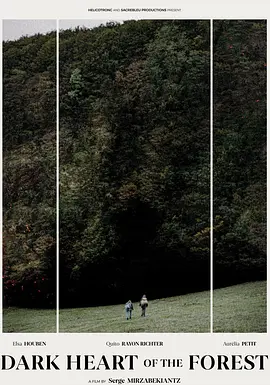 森林的黑暗心脏封面图