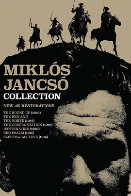 包道乔尼的秋天封面图