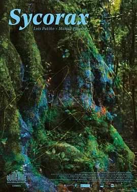 西科拉克斯封面图