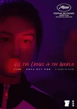 天下乌鸦封面图