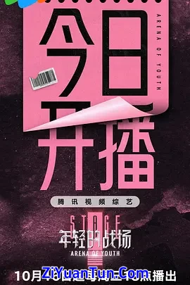 年轻的战场封面图