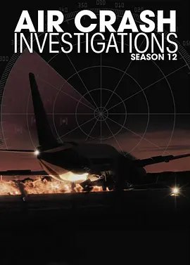 空中浩劫 第十二季封面图
