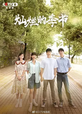 灿烂的季节封面图