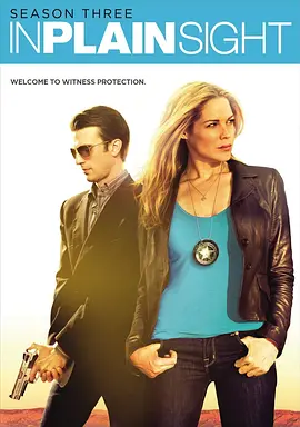 平地风云 第三季封面图