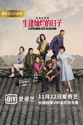 生逢灿烂的日子封面图