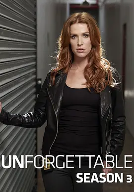 记忆神探 第三季封面图