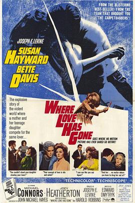 情归何处封面图