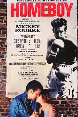 铁拳浪子封面图