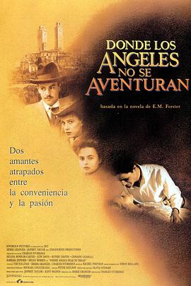 天使不敢驻足的地方封面图