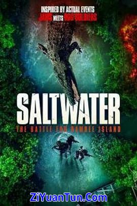 Saltwater.The.Battle.for.Ramree.Island封面图
